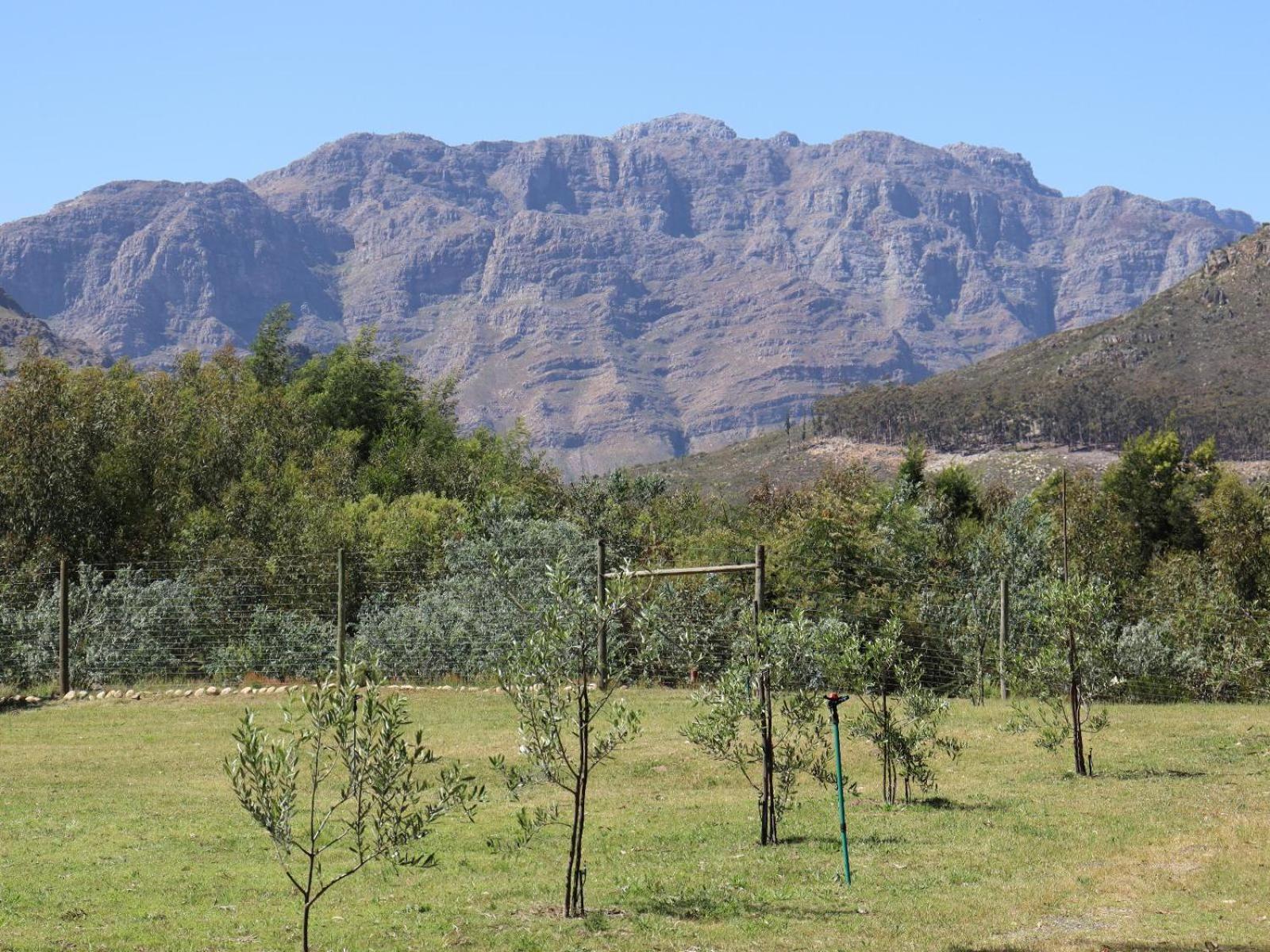 Villa La Ferme Guest Farm - Hot Tubs Franschhoek Exterior foto