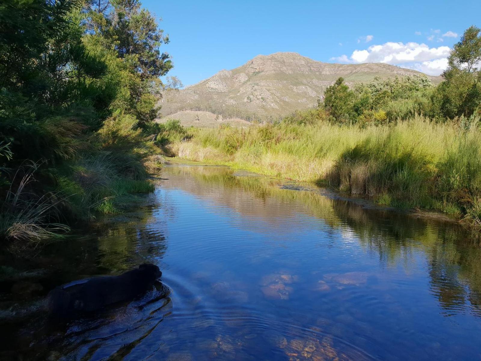 Villa La Ferme Guest Farm - Hot Tubs Franschhoek Exterior foto