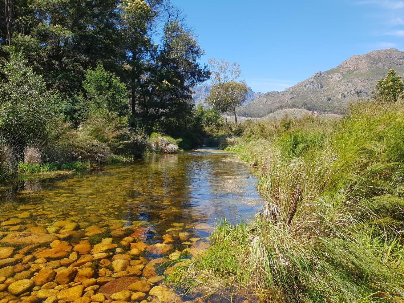 Villa La Ferme Guest Farm - Hot Tubs Franschhoek Exterior foto